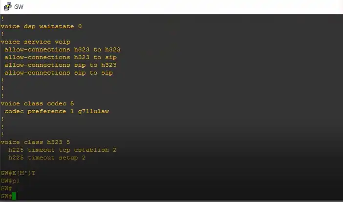 gw codec h323 interworking